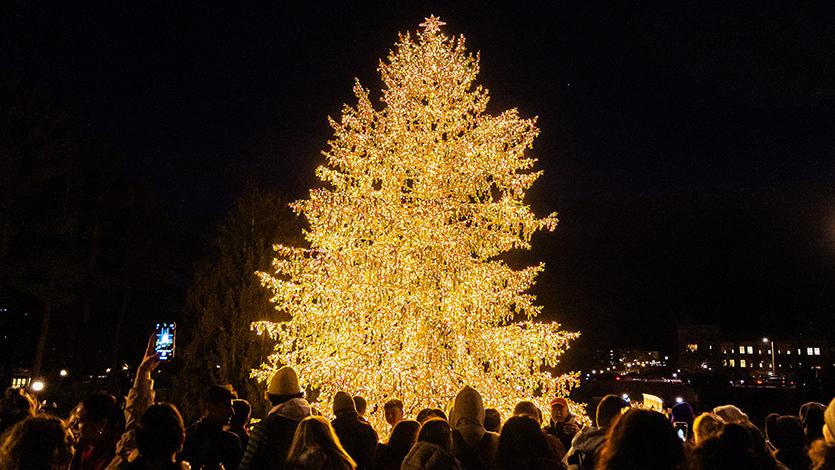 Image of holiday tree lighting 2023.